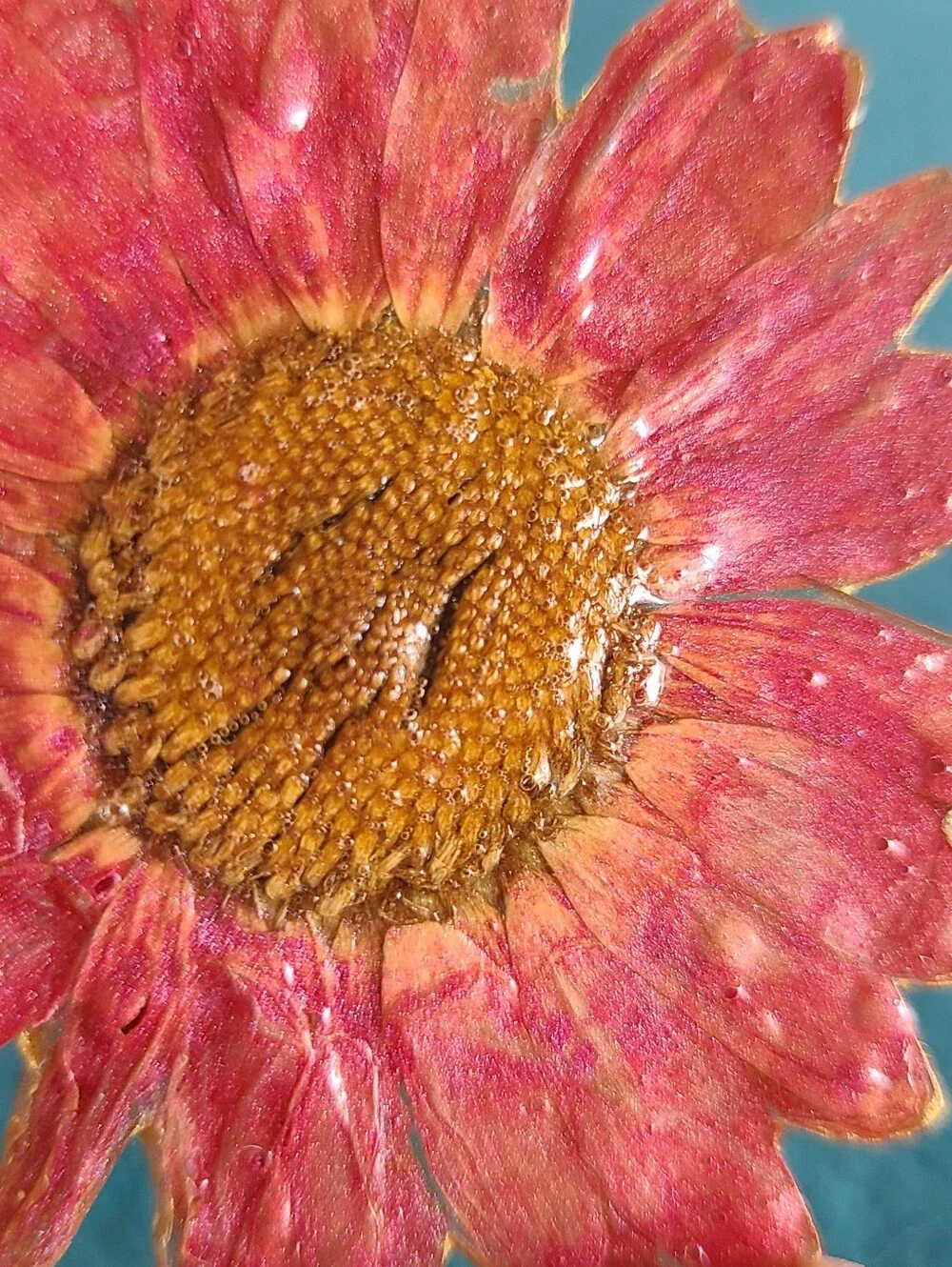 Vintage floral brooch